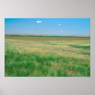 NA, USA, NE. Grasslands nära Ogallala med Poster
