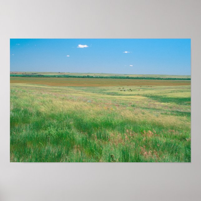 NA, USA, NE. Grasslands nära Ogallala med Poster (Framsidan)