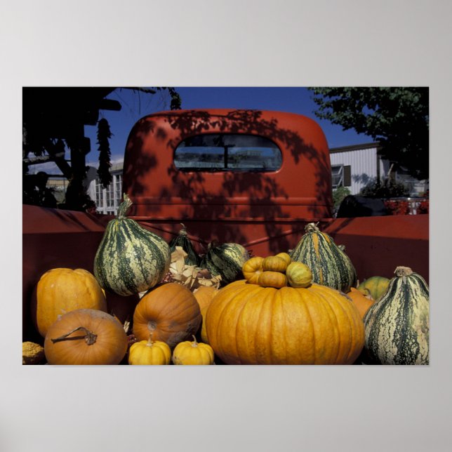 NA, USA, New mexico, Taos. Chile står. Poster (Framsidan)