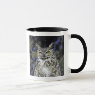 NA, USA, New Mexico, Wildlife West Nature Park Mugg