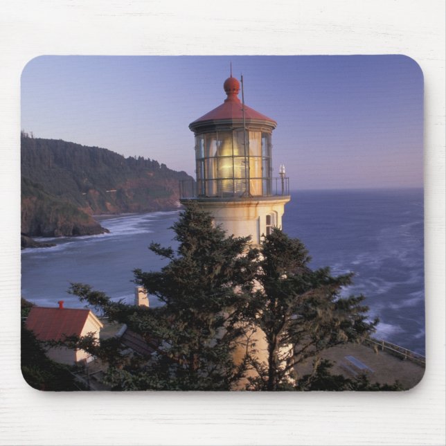 NA, USA, Oregon, Heceta Head Lighthouse, Musmatta (Framsidan)