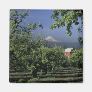 NA, USA, Oregon, nära Hood River Mt. Hood med Magnet