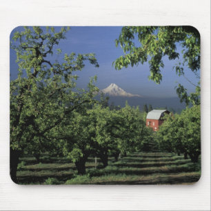 NA, USA, Oregon, nära Hood River Mt. Hood med Musmatta