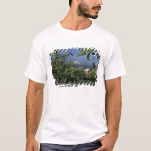 NA, USA, Oregon, nära Hood River Mt. Hood med Tee