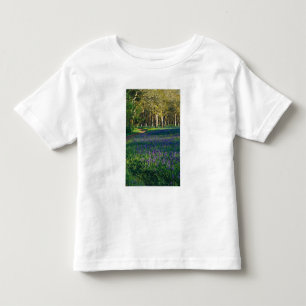 NA, USA, Oregon, Salem. Fält med camas och 3 T Shirt