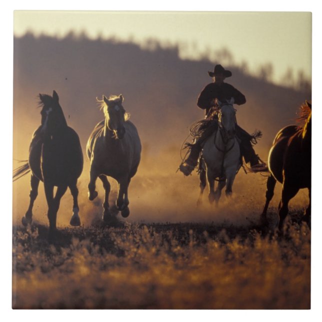 NA, USA, Oregon, Seneca, Ponderosa Ranch, Cowboy 2 Kakelplatta (Framsidan)