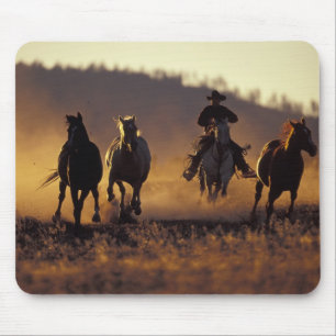 NA, USA, Oregon, Seneca, Ponderosa Ranch, Cowboy 2 Musmatta