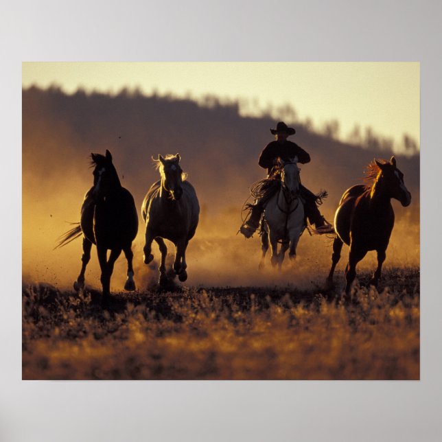 NA, USA, Oregon, Seneca, Ponderosa Ranch, Cowboy 2 Poster (Framsidan)