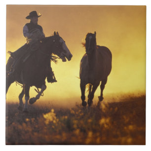 NA, USA, Oregon, Seneca, Ponderosa Ranch, Cowboy 3 Kakelplatta