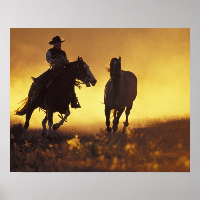 NA, USA, Oregon, Seneca, Ponderosa Ranch, Cowboy 3 Poster (Framsidan)