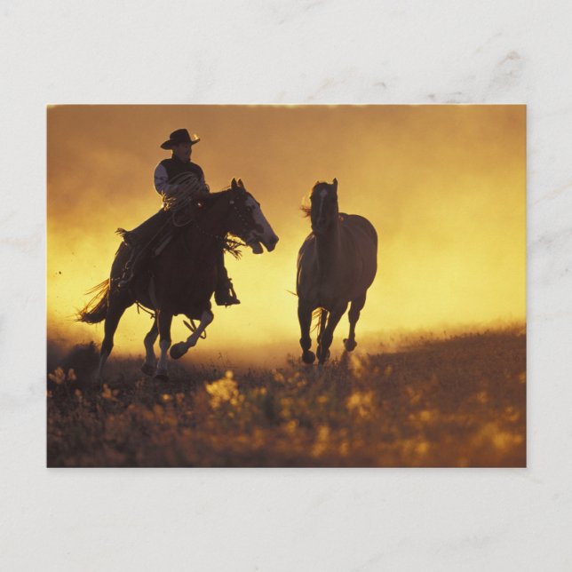 NA USA, Oregon, Seneca, Ponderosa ranch, Cowboy 3 Vykort (Framsida)