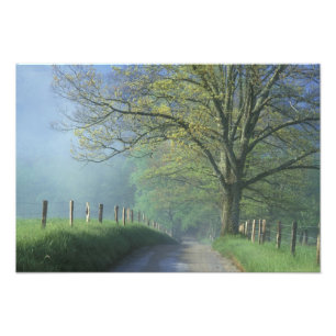 NA, USA, Tennessee, Cades Cove, Great Smoky Fototryck