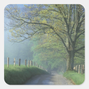 NA, USA, Tennessee, Cades Cove, Great Smoky Fyrkantigt Klistermärke