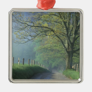 NA, USA, Tennessee, Cades Cove, Great Smoky Julgransprydnad Metall