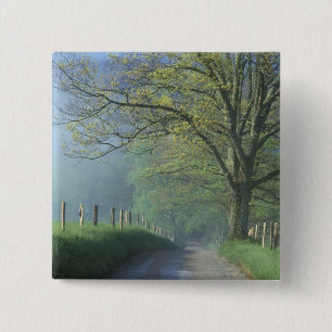 NA, USA, Tennessee, Cades Cove, Great Smoky Knapp