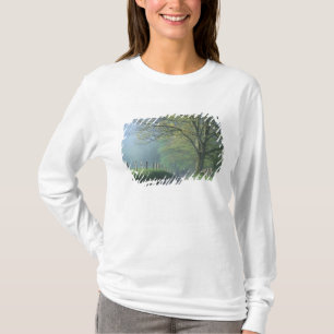 NA, USA, Tennessee, Cades Cove, Great Smoky Tee Shirt