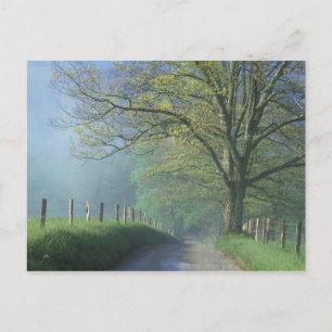 NA, USA, Tennessee, Cades Cove, Great Smoky Vykort