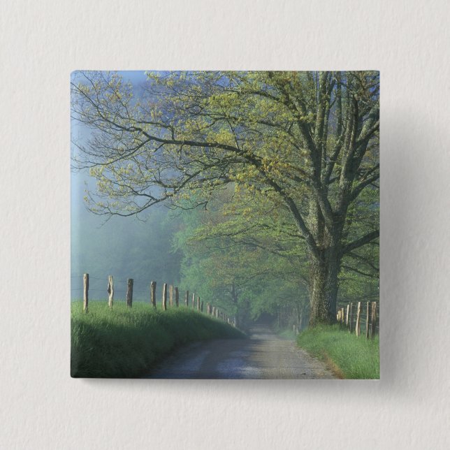 NA, USA, Tennessee, Cades Cove, Underbarare Smoky Knapp (Framsida)