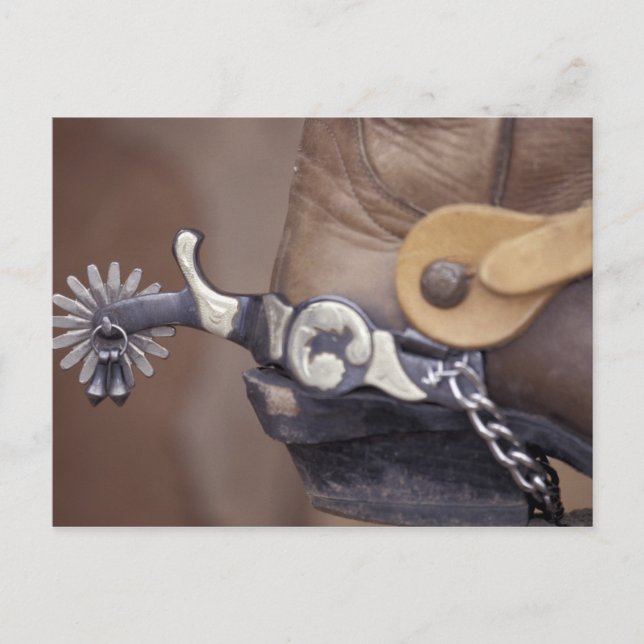 NA, USA, Texas, Lubbock Cowboys, stövel Vykort (Framsida)