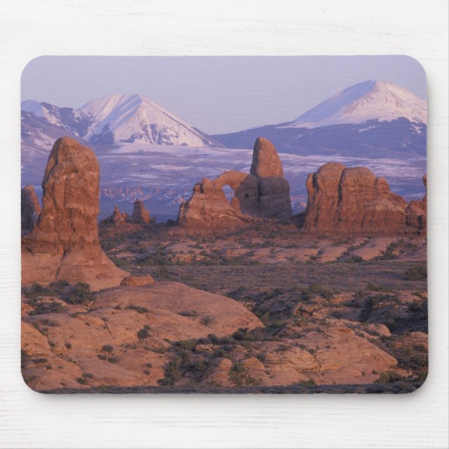 NA, USA, Utah, Arches National Park. Garden av Musmatta (Framsidan)