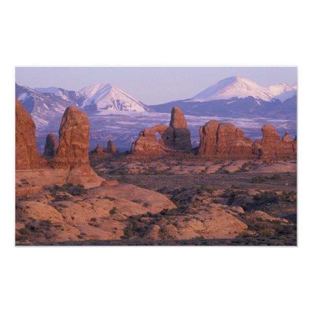 NA, USA, Utah, Arches National Park. Garden of Fototryck (Framsidan)