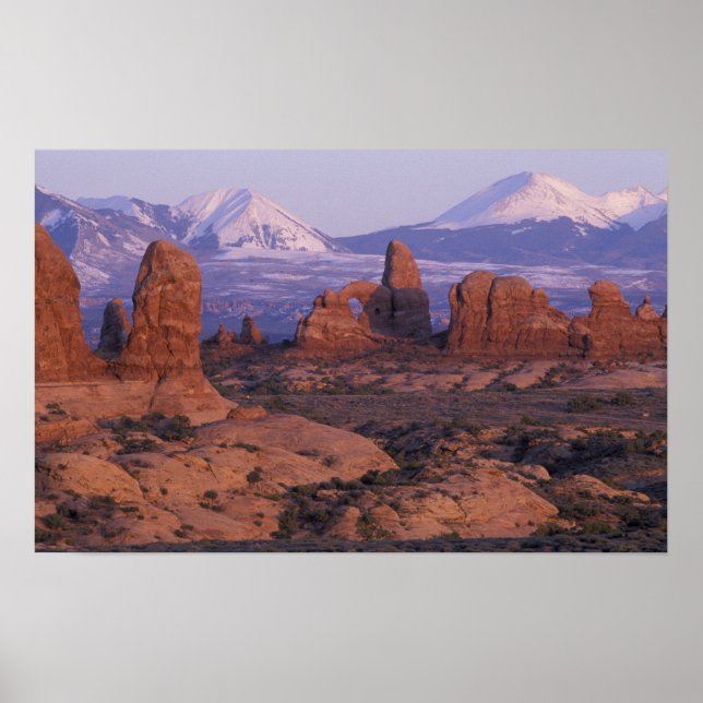 NA, USA, Utah, Arches National Park. Garden of Poster (Framsidan)