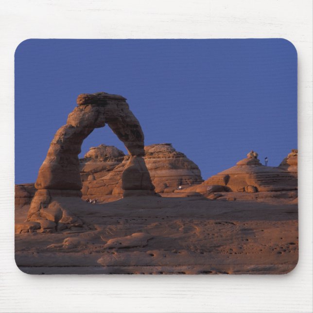 NA, USA, Utah, Arches National Park. Ömtålig Musmatta (Framsidan)