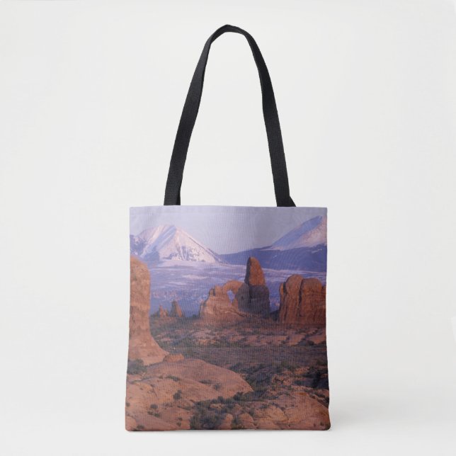 NA, USA, Utah, Arches National Park Tygkasse (Framsida)
