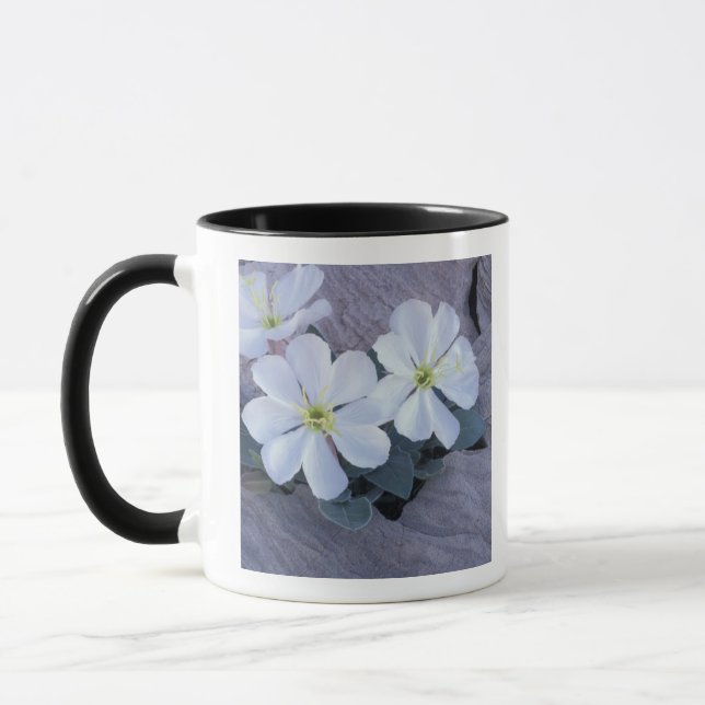 NA, USA, Utah, Arches NP, Nattljus Mugg (Vänster)
