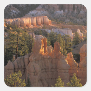NA, USA, Utah, Bryce Canyon NP 2 Fyrkantigt Klistermärke