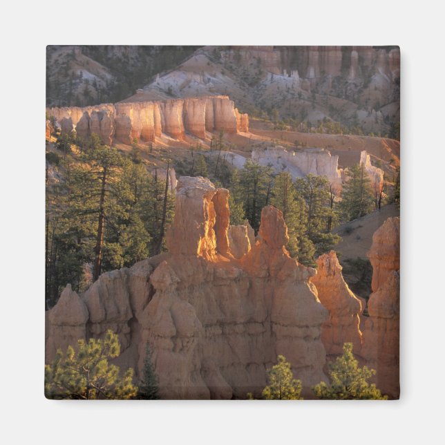 NA, USA, Utah, Bryce Canyon NP 2 Magnet (Framsidan)