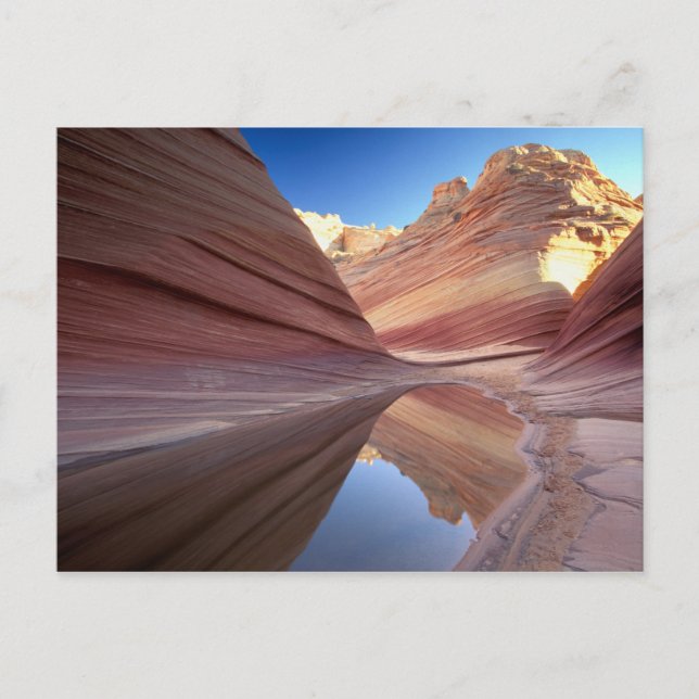 NA, USA, Utah, Vermillion Cliffs. Coyote Butte 2 Vykort (Framsida)
