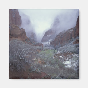 NA, USA, Utah, Zion NP, vår snöstorm, Magnet
