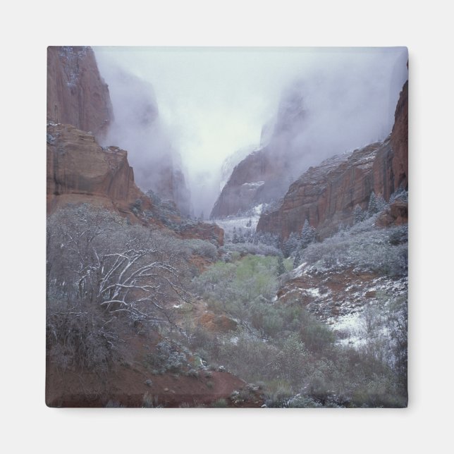 NA, USA, Utah, Zion NP, vår snöstorm, Magnet (Framsidan)