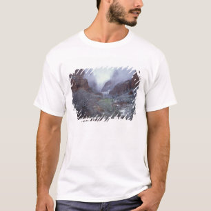 NA, USA, Utah, Zion NP, Vår snöstorm, Tee