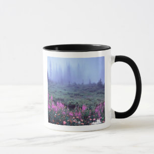 NA, USA, Washington, Dimma alpin äng, Mt. Mugg