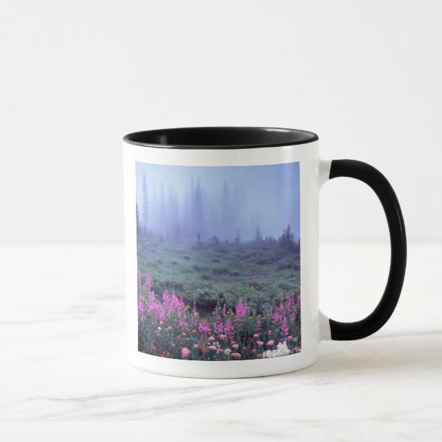 NA, USA, Washington, Dimma alpin äng, Mt. Mugg (Höger)