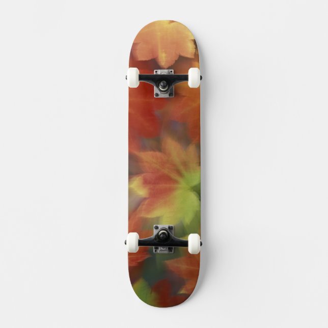 NA, USA, Washington, Issaquah, Vine maple Old School Skateboard Bräda 18 Cm (Framsida)