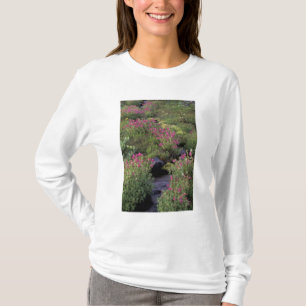 NA, USA, Washington, Mt. Rainier NP, Rosa T-shirt