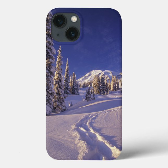 NA, USA, Washington, Mt. Rainier NP, Snöskor (Baksida)