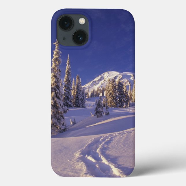 NA, USA, Washington, Mt. Rainier NP, Snöskor (Baksida)