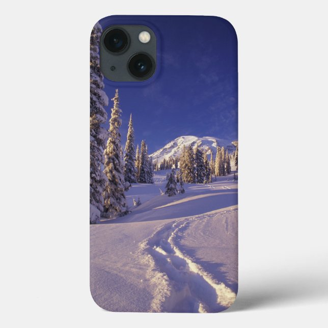 NA, USA, Washington, Mt. Rainier NP, Snöskor (Baksida)
