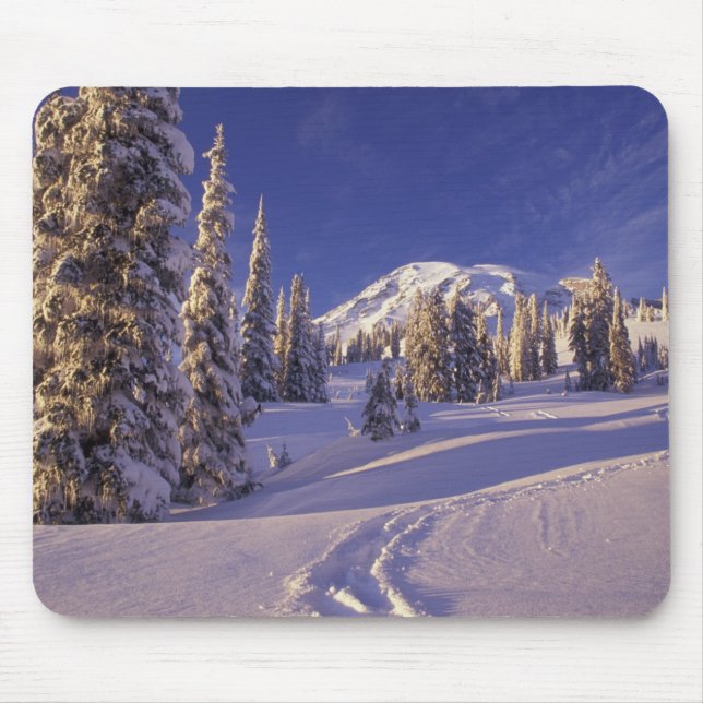 NA, USA, Washington, Mt Rainier NP, Snowshoe Musmatta (Framsidan)