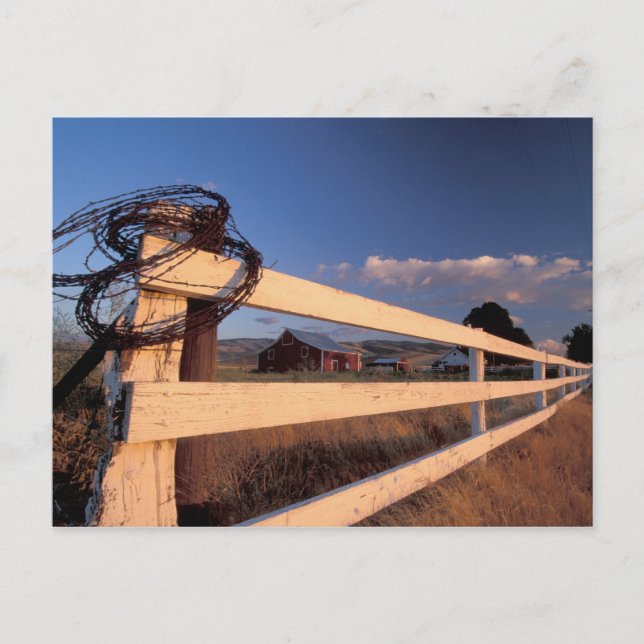 NA, USA, Washington, nära Walla Walla, staket, Vykort (Framsida)