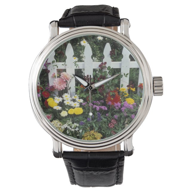 NA, USA, Washington, Sammamish, Vit staket Armbandsur (Framsida)
