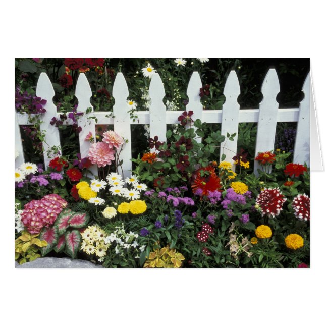 NA, USA, Washington, Sammamish, White picket Hälsningskort (Framsidan Horizontal)