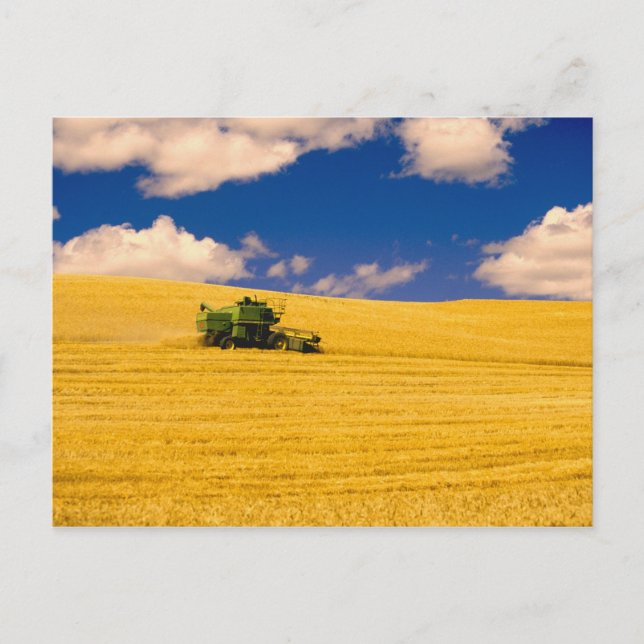 NA, USA, Washington State, Palouse Region, Vykort (Framsida)