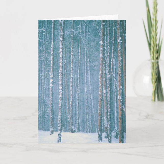 NA, USA, WY. Snövscenen bland Helgkort (Framsida)