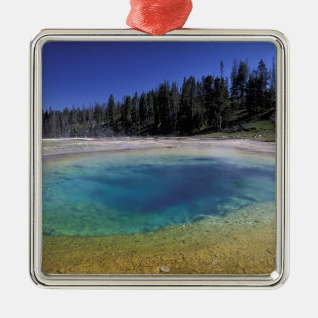 NA, USA, Wyoming, Yellowstone National Park. 2 Julgransprydnad Metall (Framsidan)