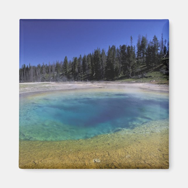 NA, USA, Wyoming, Yellowstone National Park. 2 Magnet (Framsidan)